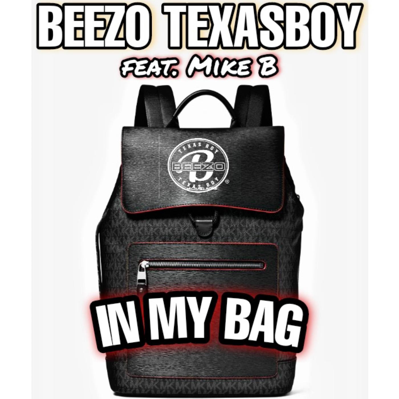 In My Bag (feat. Mike B)
