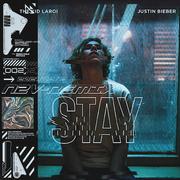 The Kid LAROI-STAY（N2V remix）