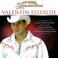 Valentin Elizalde - Vete Con El (karaoke)
