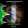 Alternative Reality - ANDES (Little Rick Remix)