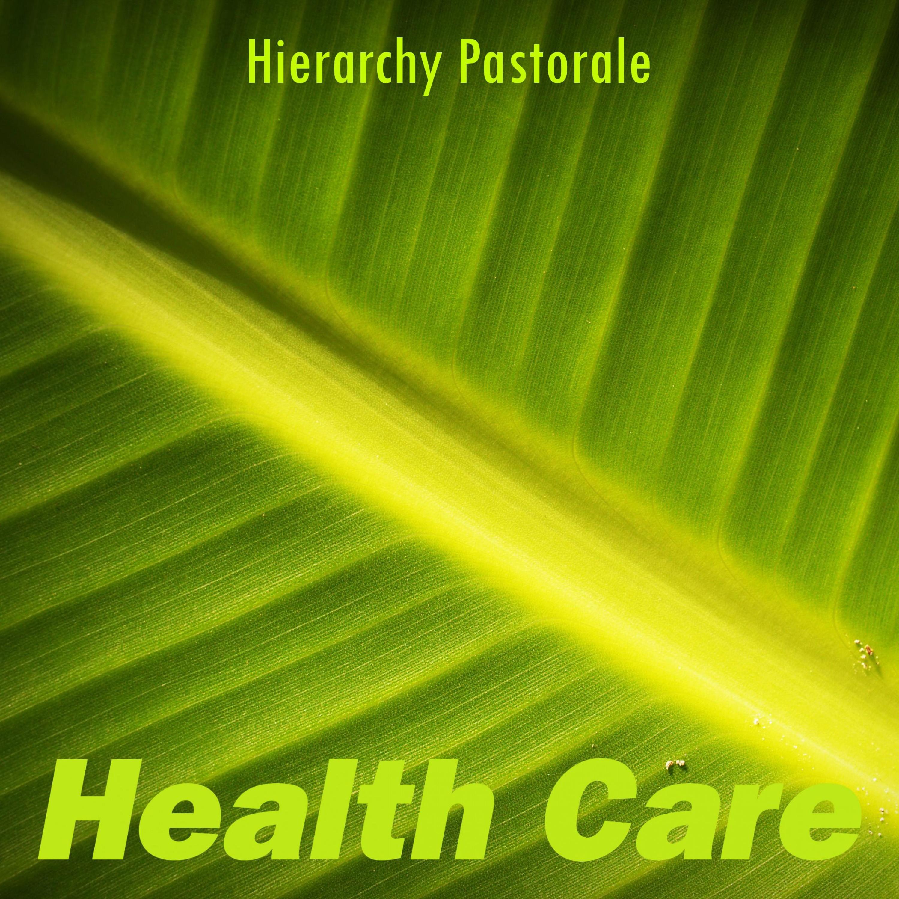 Hierarchy Pastorale