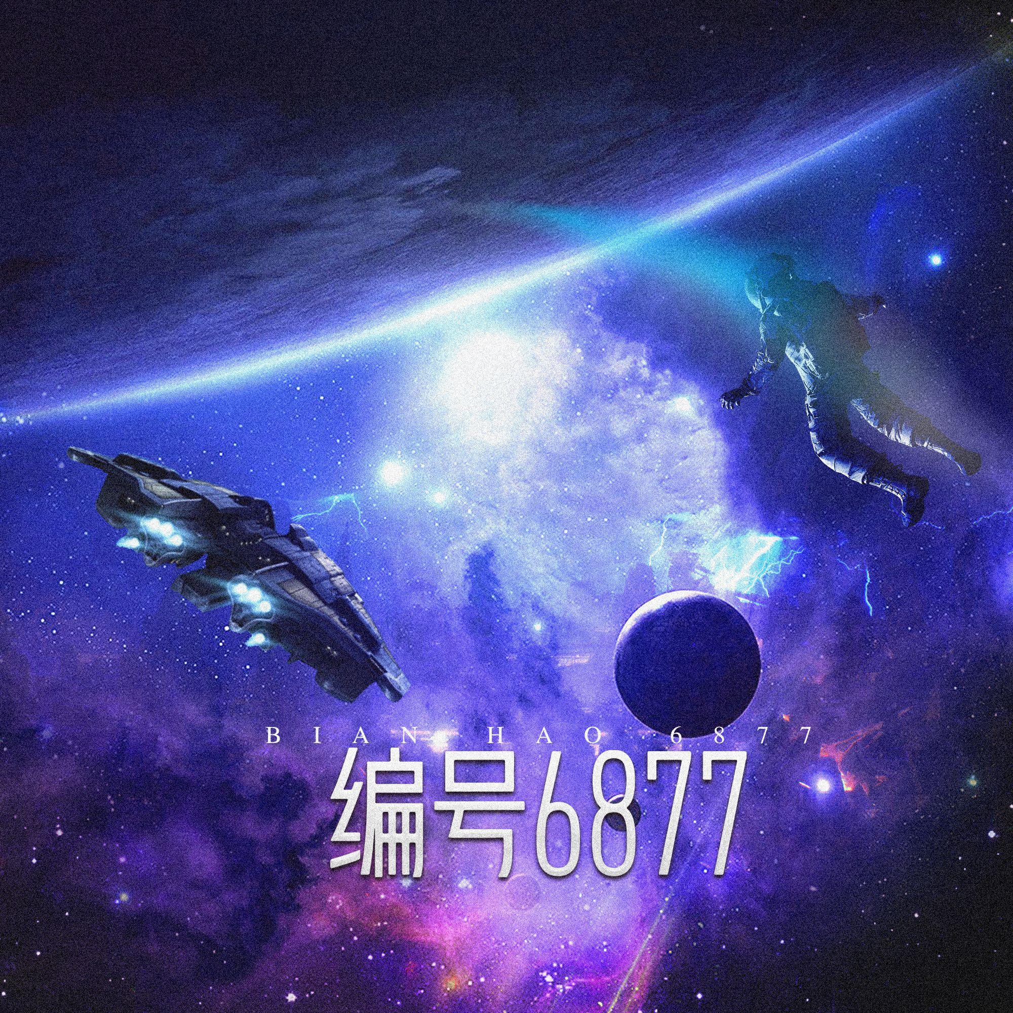 编号6877
