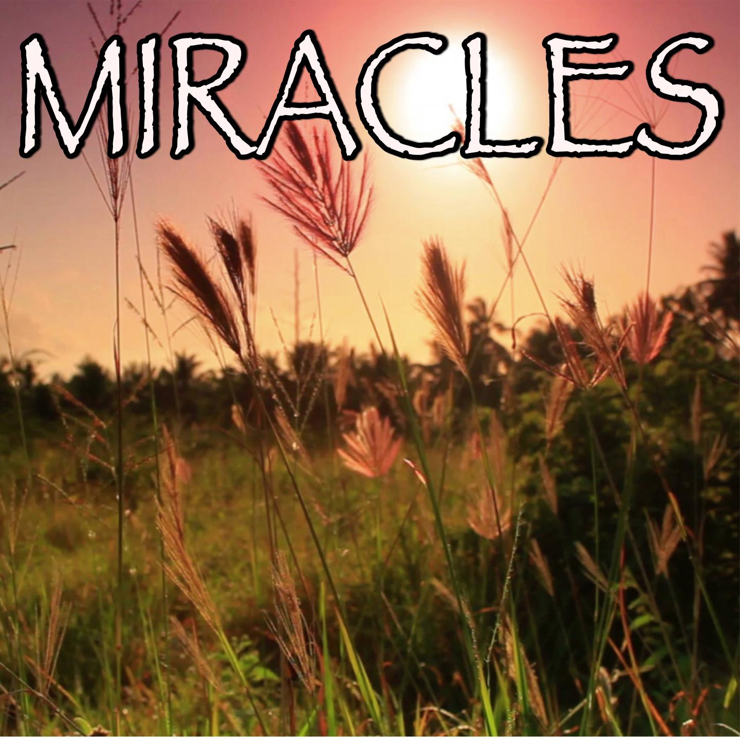 Miracles (Someone Special) - Tribute to Coldplay and Big Sean专辑