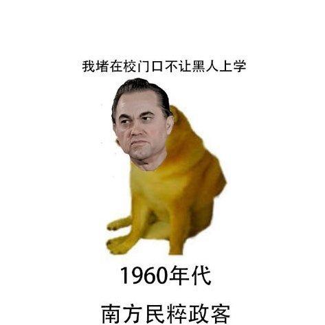 TNO美利坚专属歌单