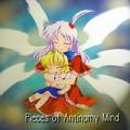 Pieces of Antinomy Mind