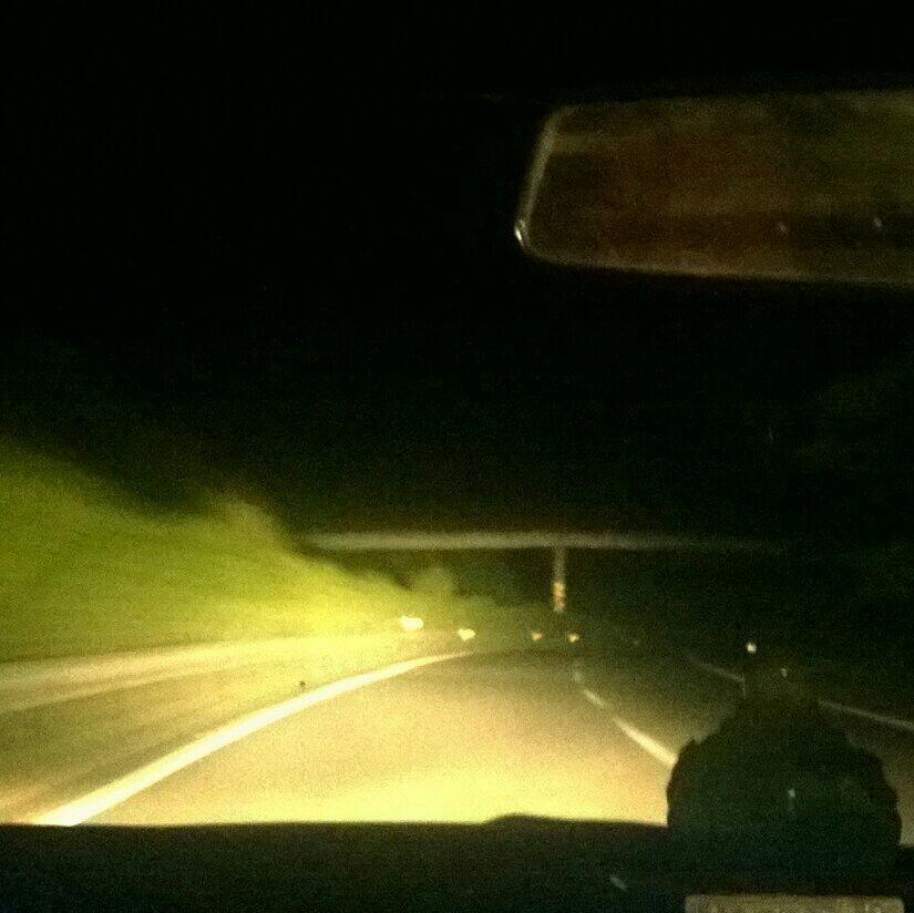 1 O O %无 甜 份 夏 夜
