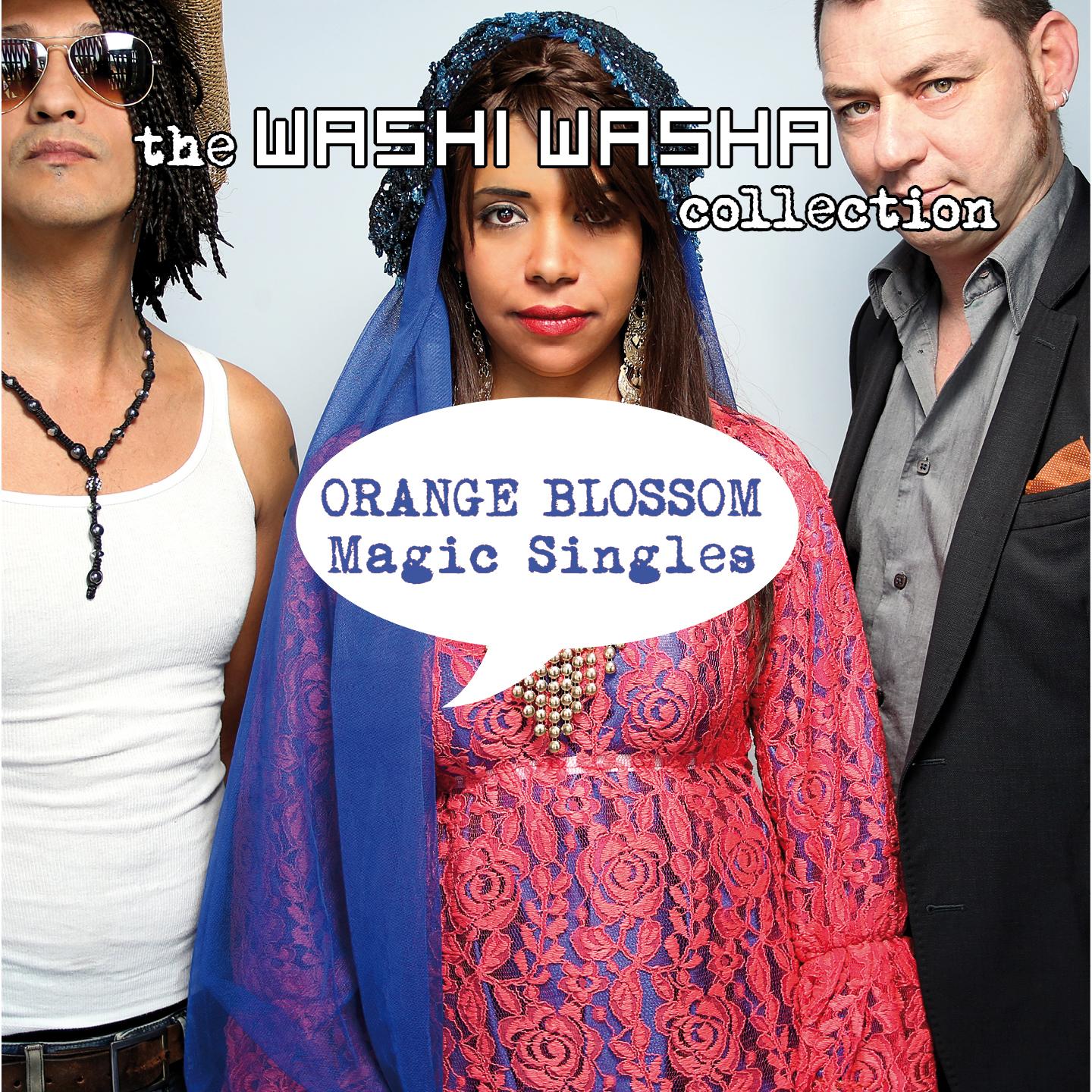 Magic Singles (The Washi Washa Collection)