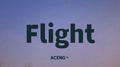 Flight专辑