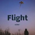 Flight