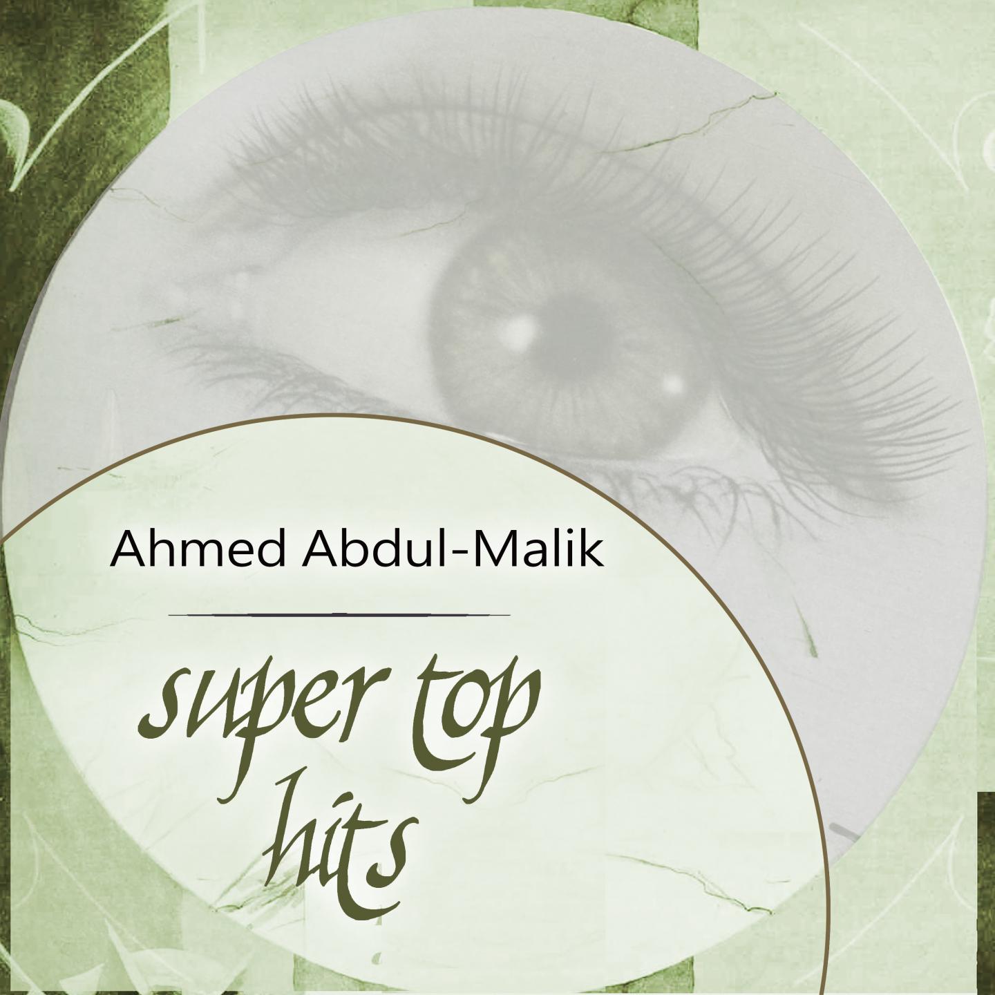Ahmed Abdul-Malik - The Hustlers
