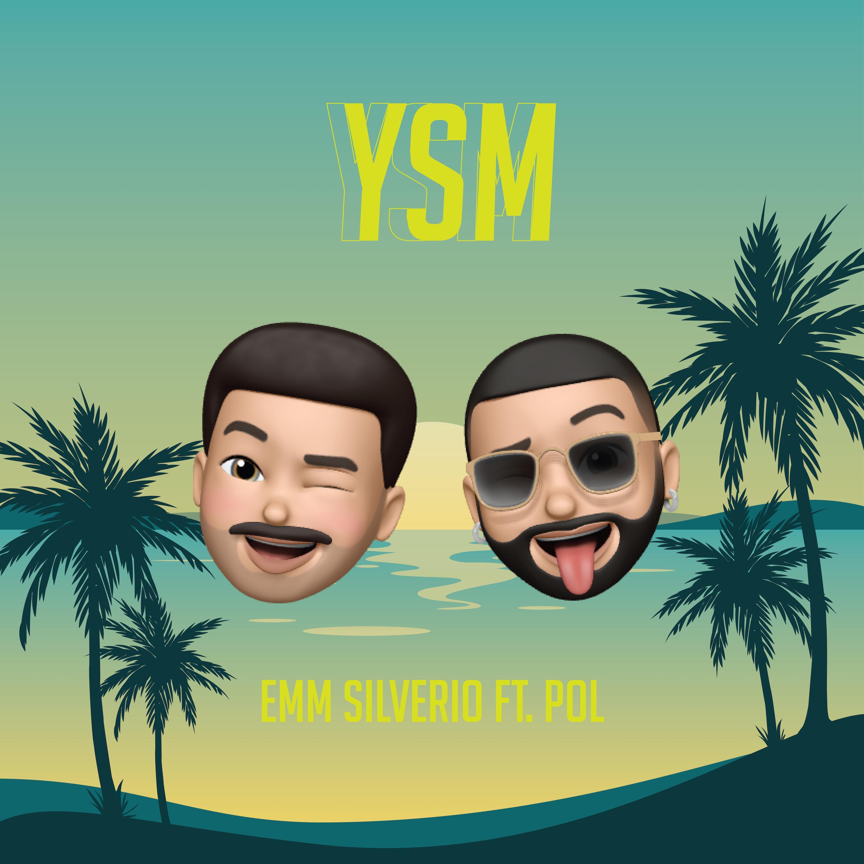 YSM (feat. Pol)