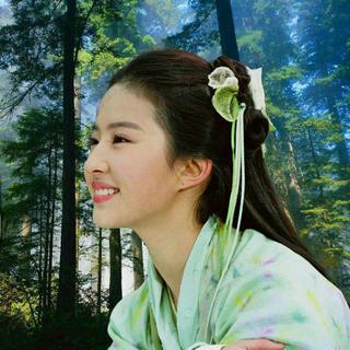 ♬ 「古风歌曲」陌上花开，缓缓而行