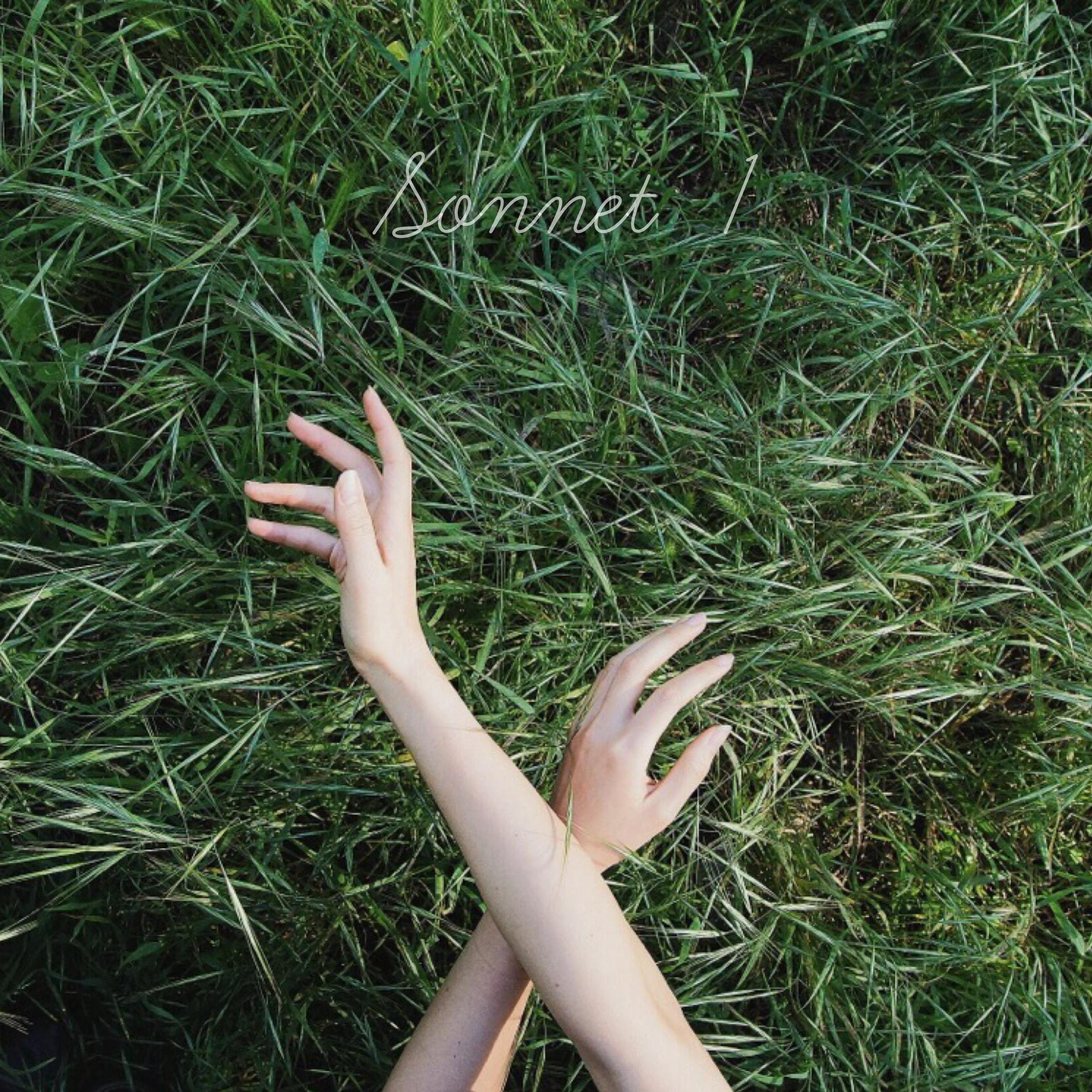 Sonnet 1