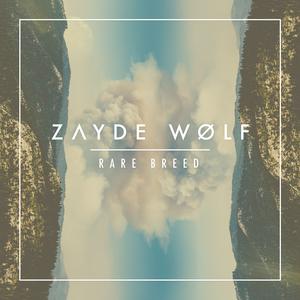 Zayde Wølf - Heroes (消音版) 带和声伴奏 （降4半音）
