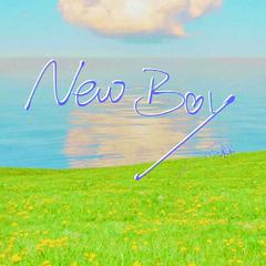 newboy