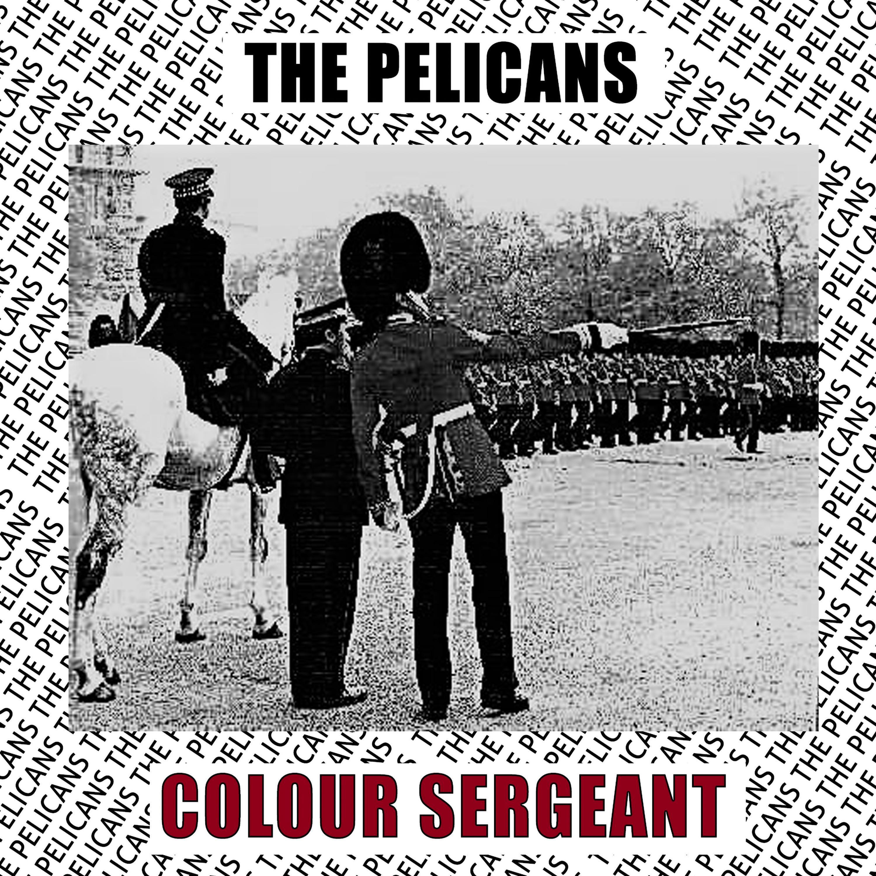 Colour Sergeant