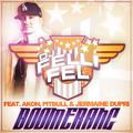 Boomerang (feat. Akon, Pitbull & Jermaine Dupri)