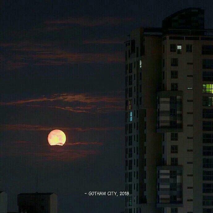 浪漫至死不渝.