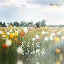 花会开在你走的路旁专辑
