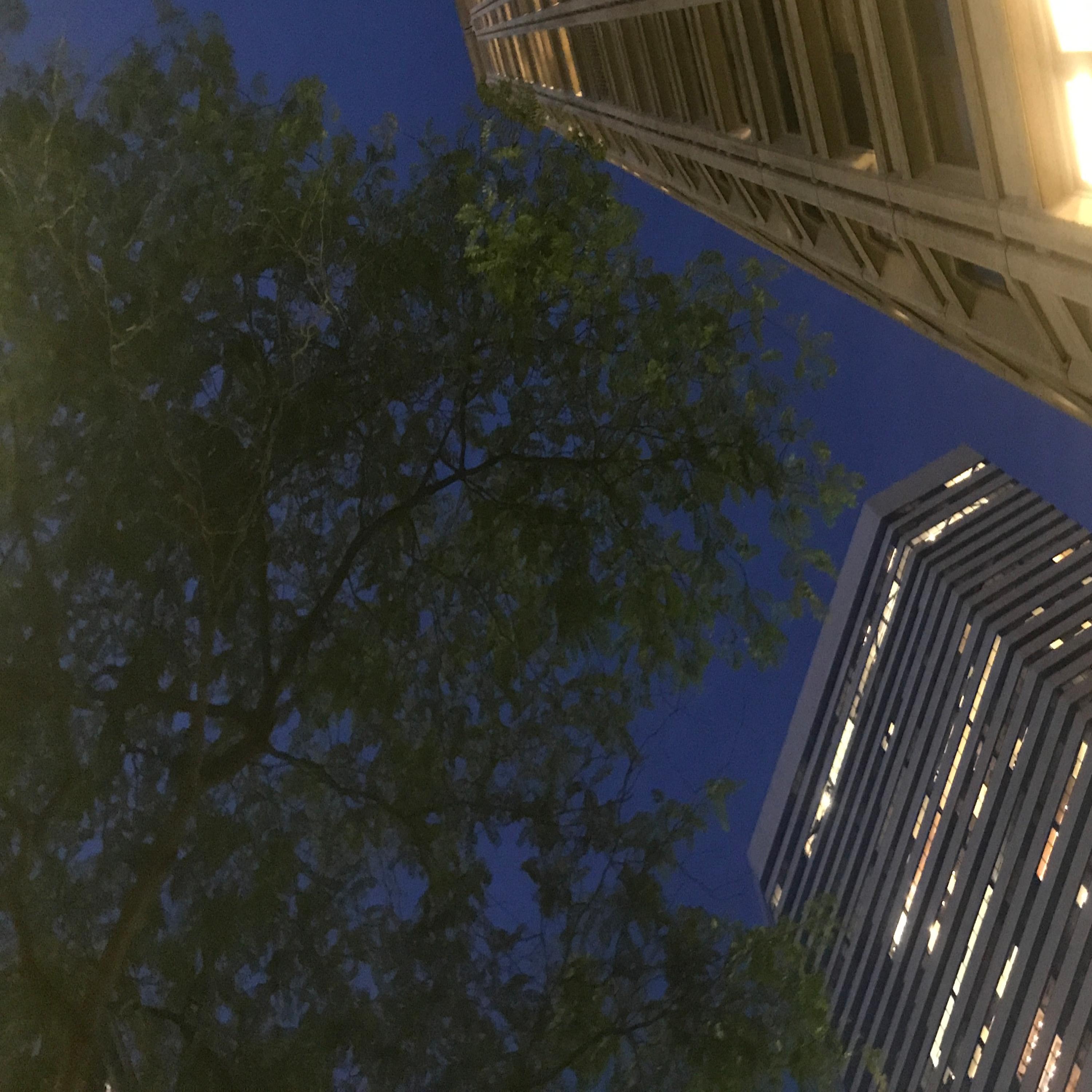 Seattle Rambling (full)