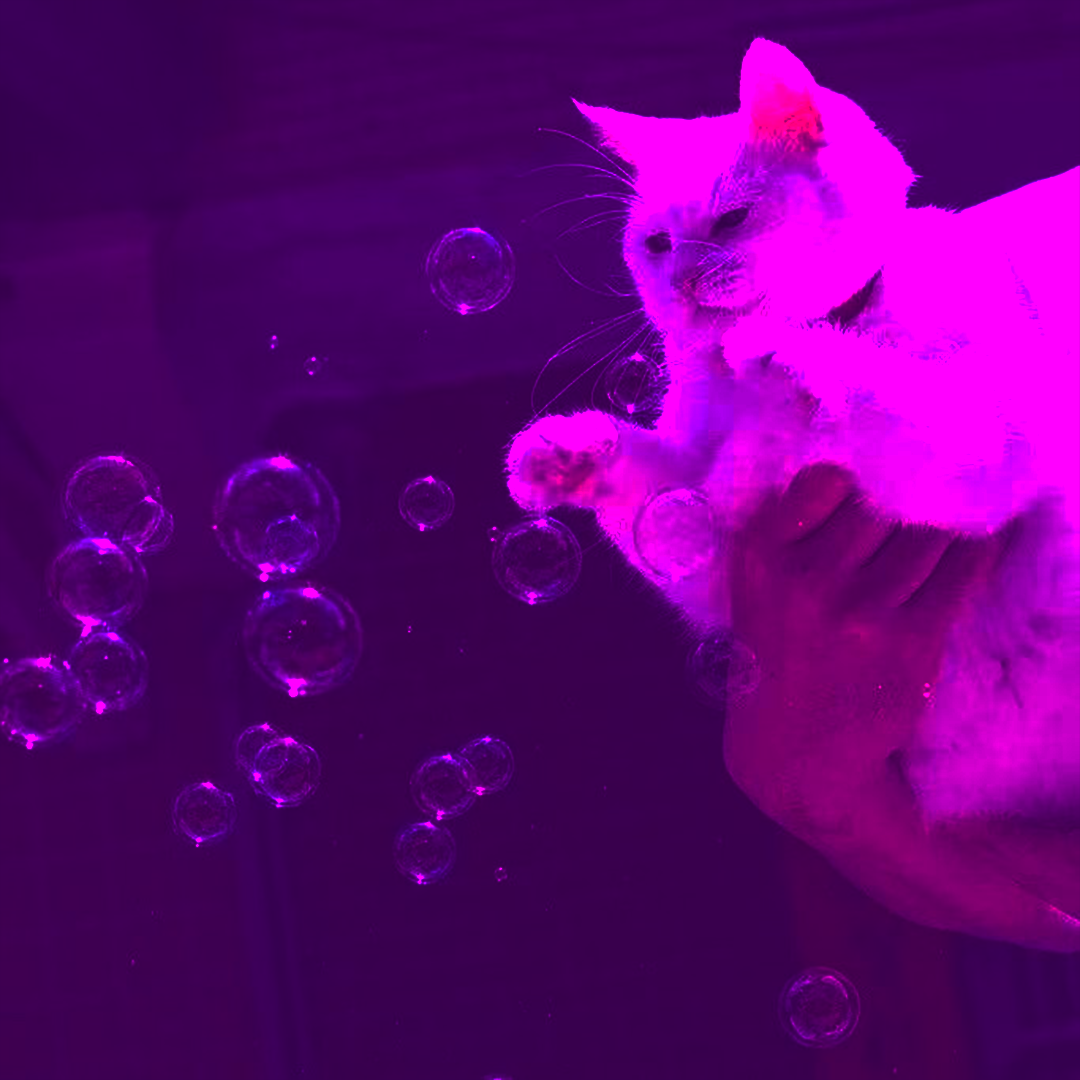 泡泡BUBBLES