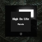 Martin Garrix-High On Life (Mushup)（Marvin remix）