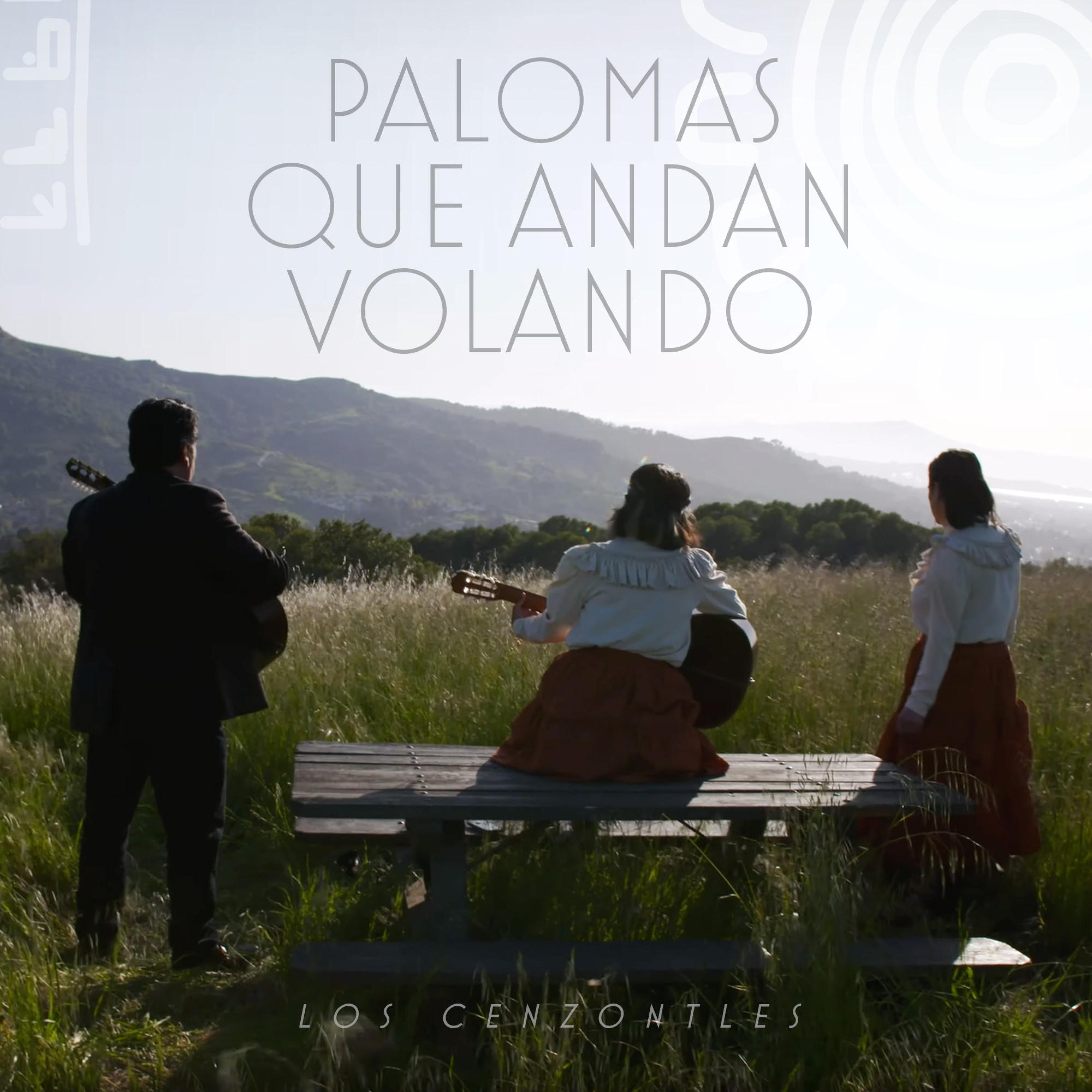 Palomas Que Andan Volando