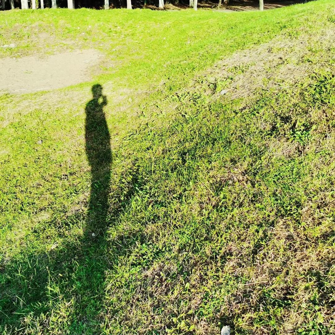 破茧