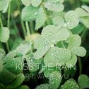 Kiss The Rain专辑