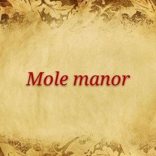 摩尔庄园BGM合集