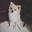 Carvey_Suen