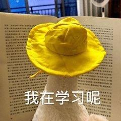 励志歌单：加油，陪伴你度过难熬时光