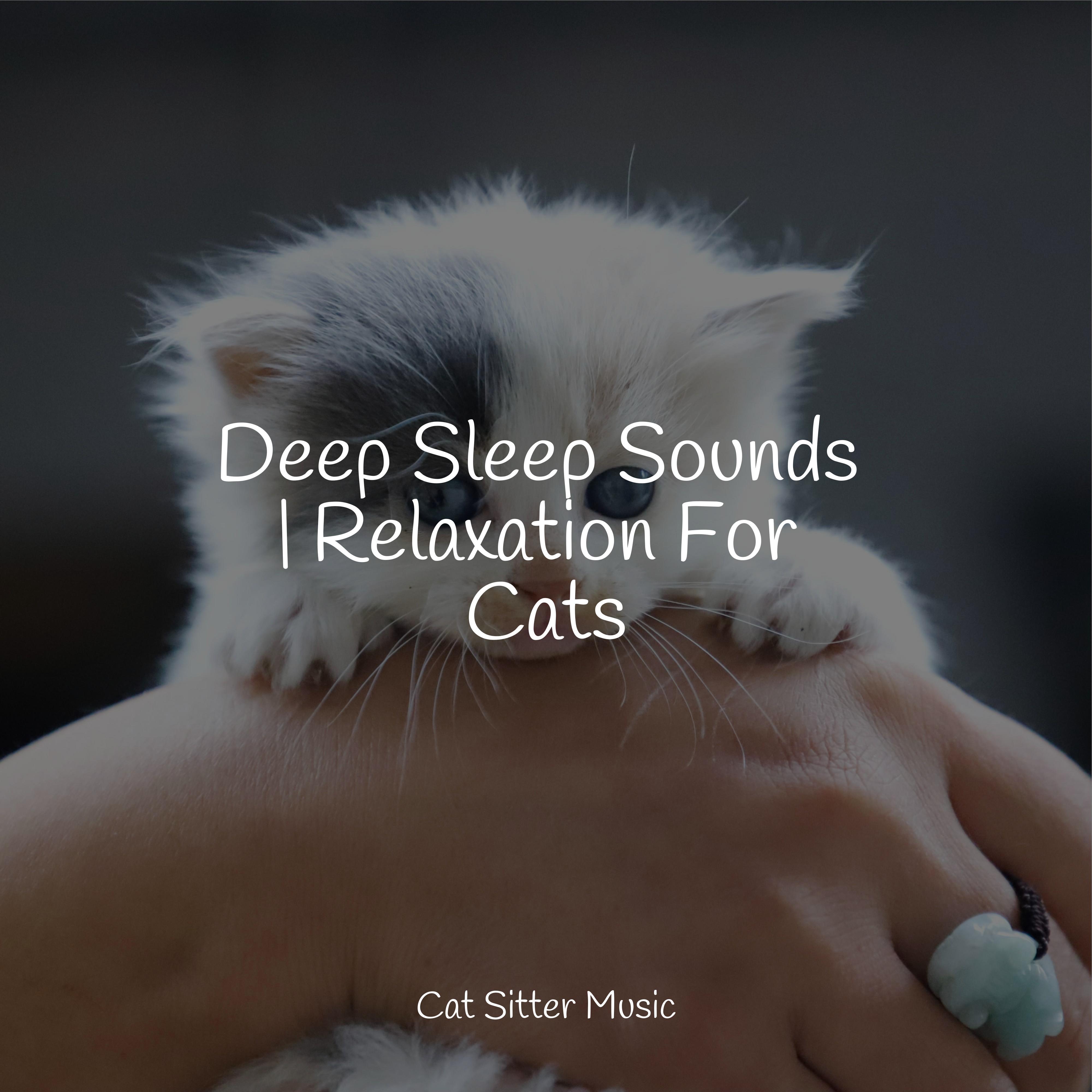 Cat Music - Low Frequency Waves