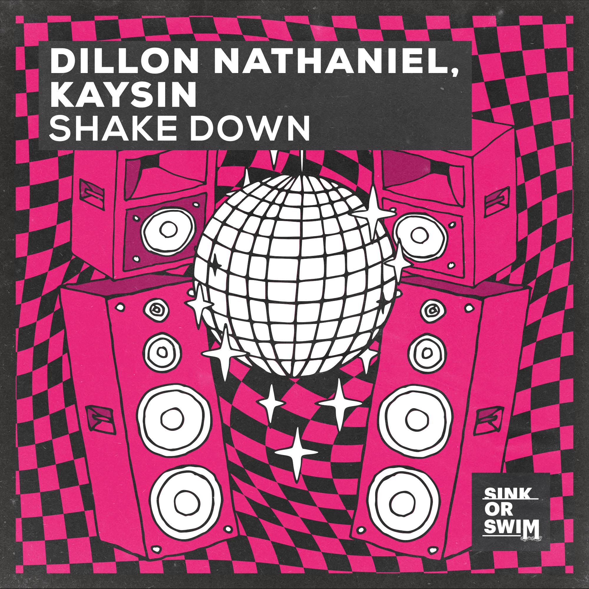 Dillon Nathaniel - Shake Down (Extended Mix)