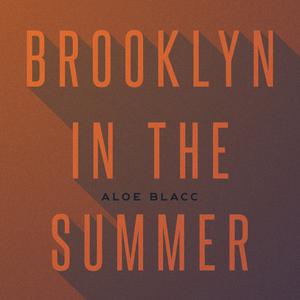 Aloe Blacc - Brooklyn In The Summer (remix Instrumental 2) 无和声伴奏 （降5半音）