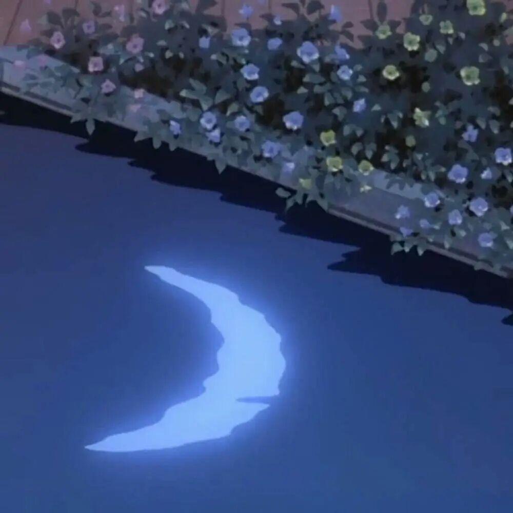 “我想和你一起去看月亮 不是看月亮 是和你”