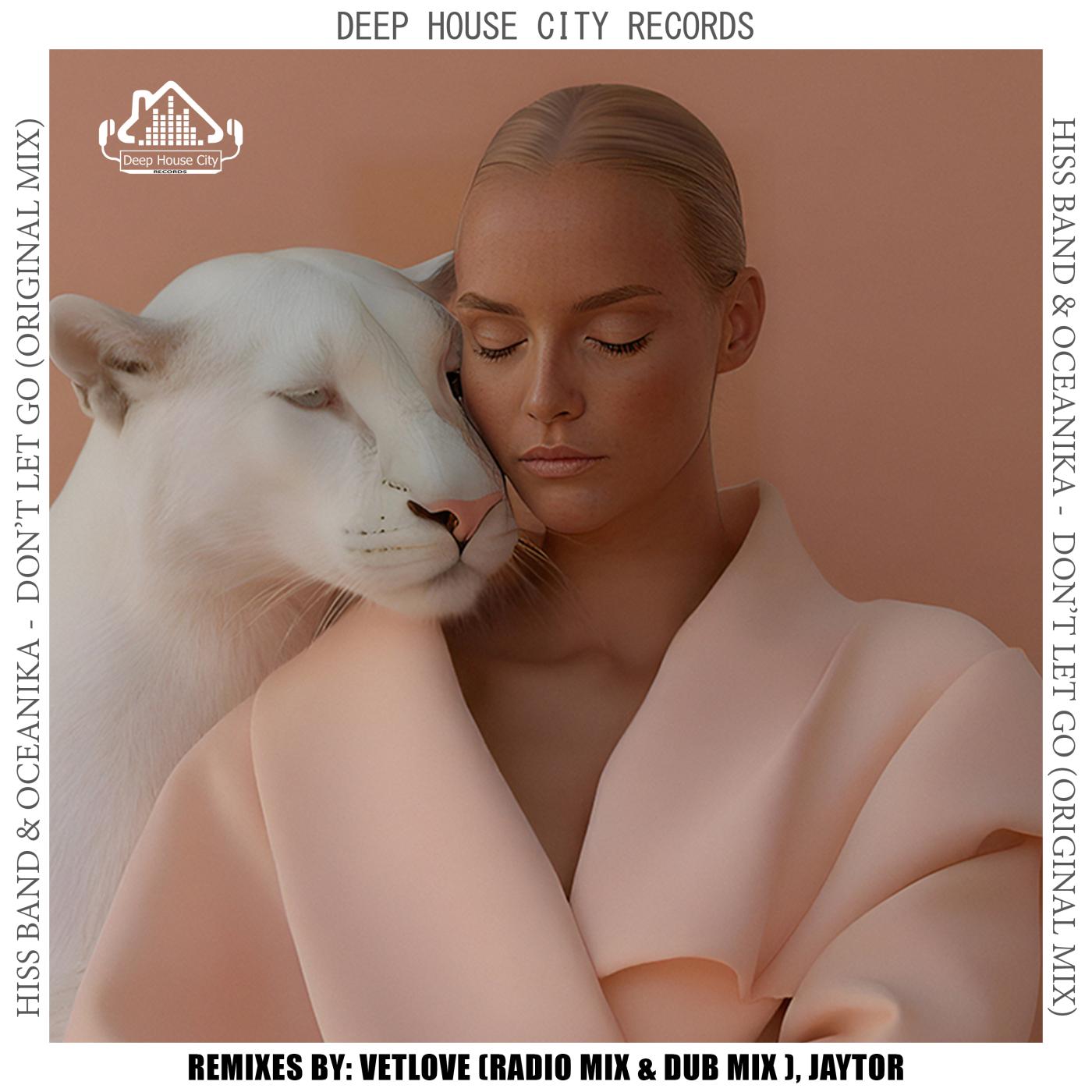 Don’t Let Go (Vetlove Remix)