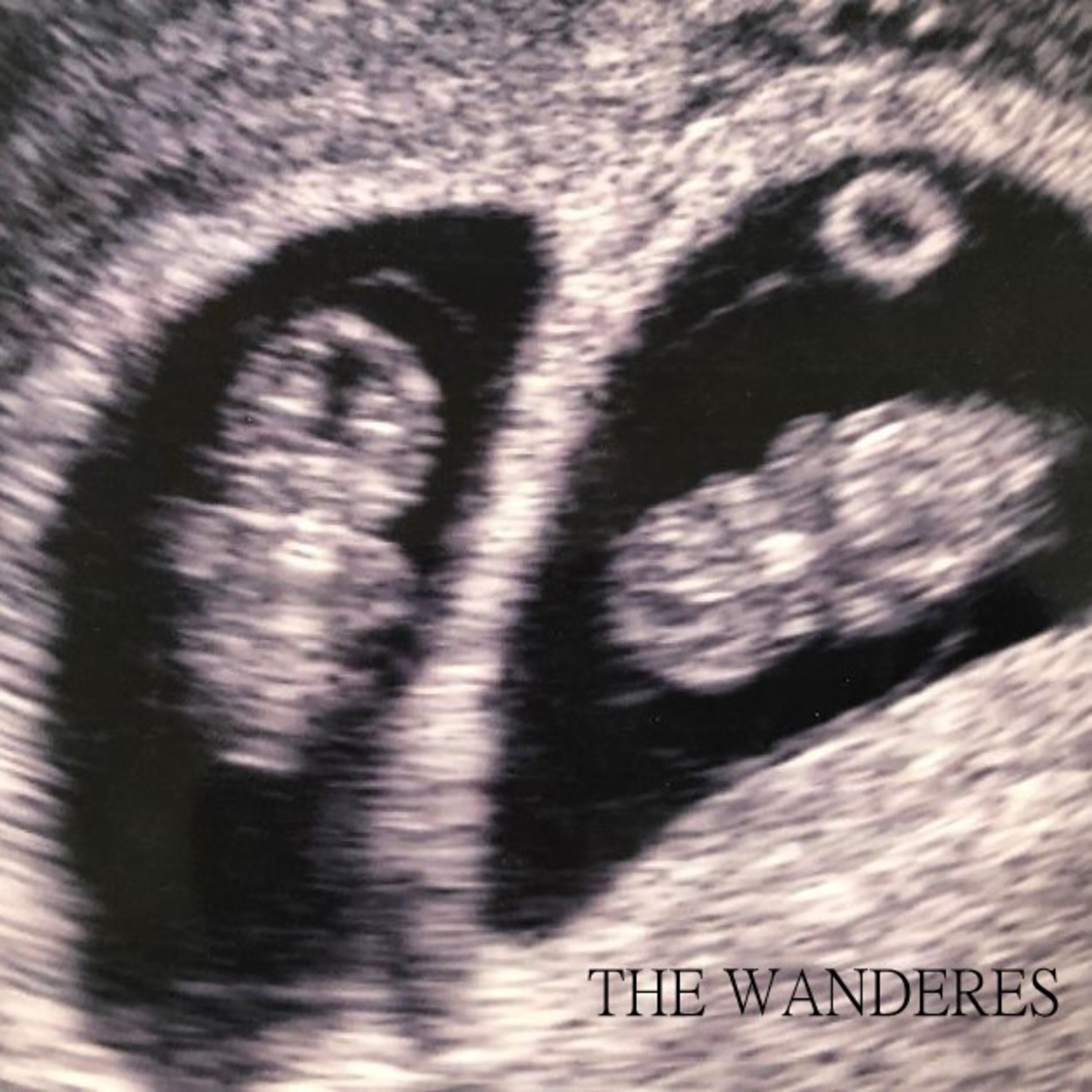 THE WANDERERS