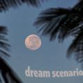 Dream Scenario