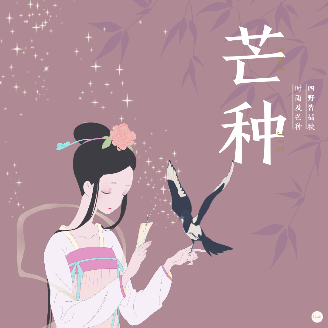 歌手:琳汐 所属专辑:芒种 相似歌曲 网易云音乐多端下载 同步歌单