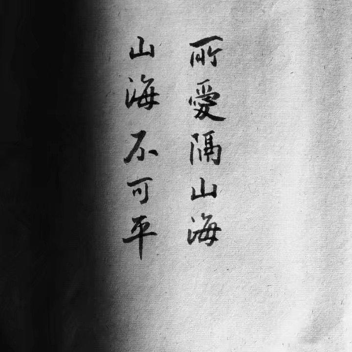 我爱他轰轰烈烈最疯狂（隔壁老樊)