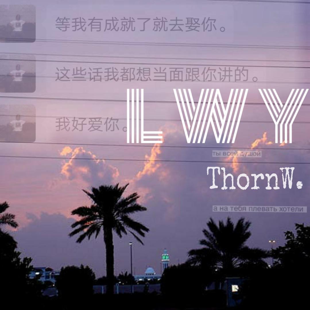 LWY专辑