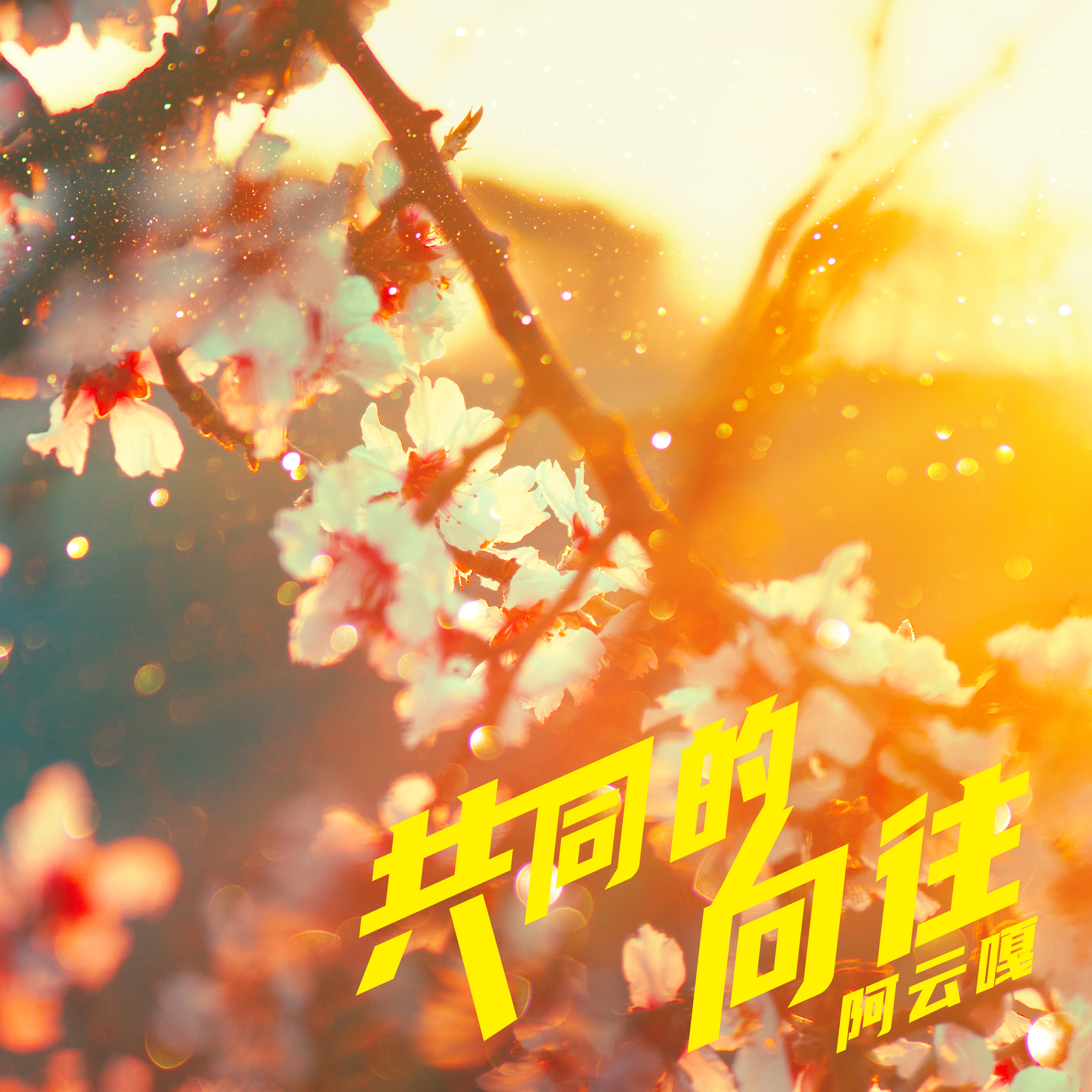 共同的向往 (伴奏)