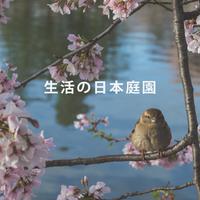 (偶像活动) - マジカルタイム