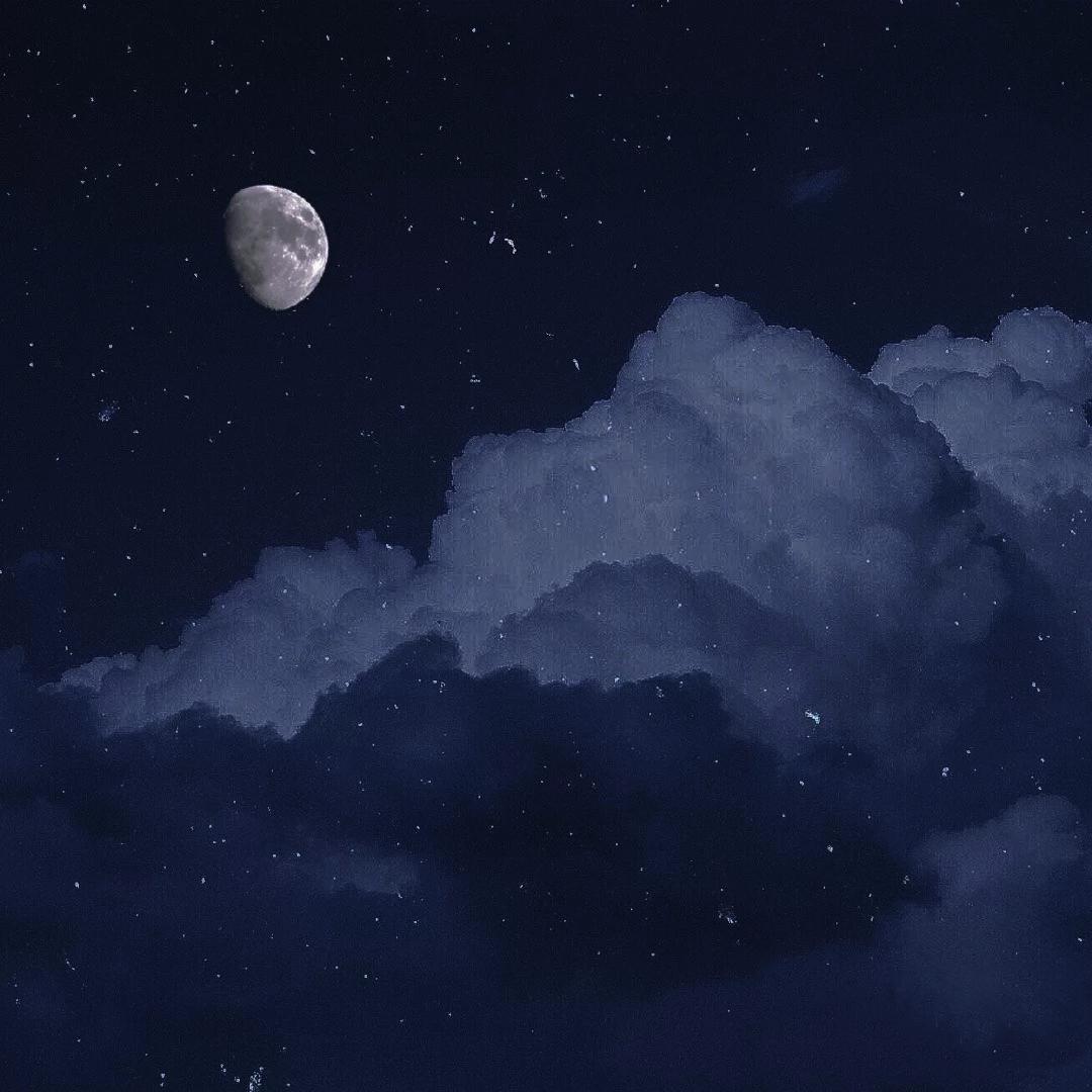 星茶会