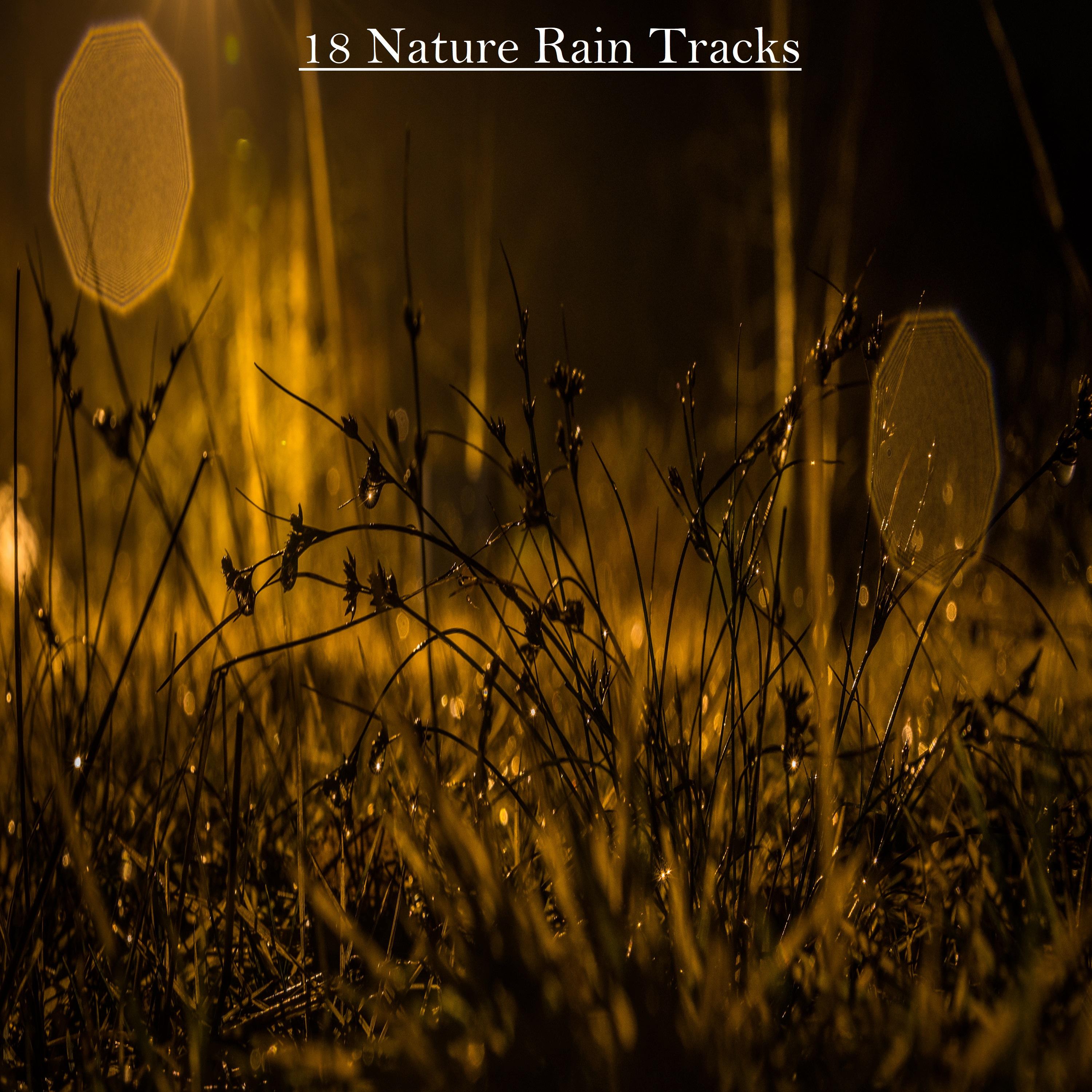 18 Nature Rain Tracks for Meditation, Sleep and Baby Sleep Aid专辑