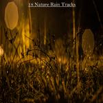 18 Nature Rain Tracks for Meditation, Sleep and Baby Sleep Aid专辑