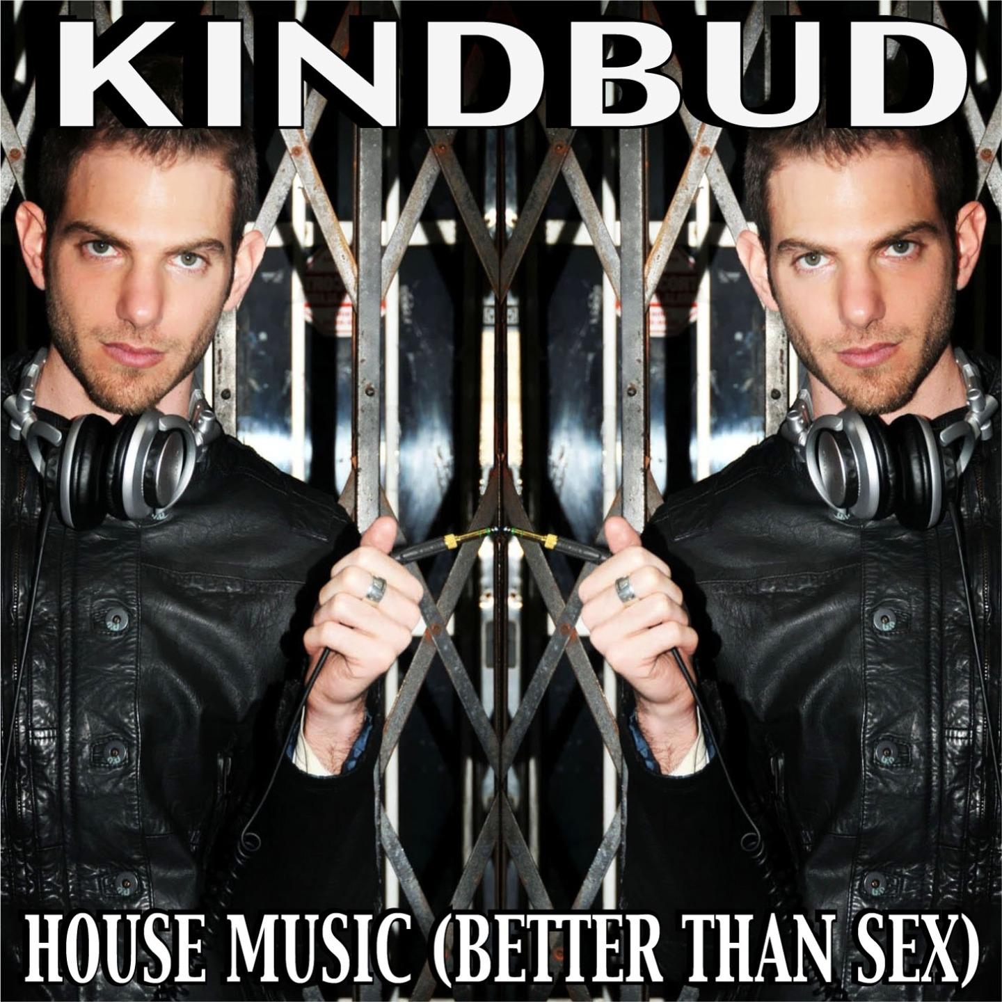 House Music (Better Than ***)