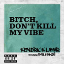 B**ch, Don't Kill My Vibe (Remix)专辑