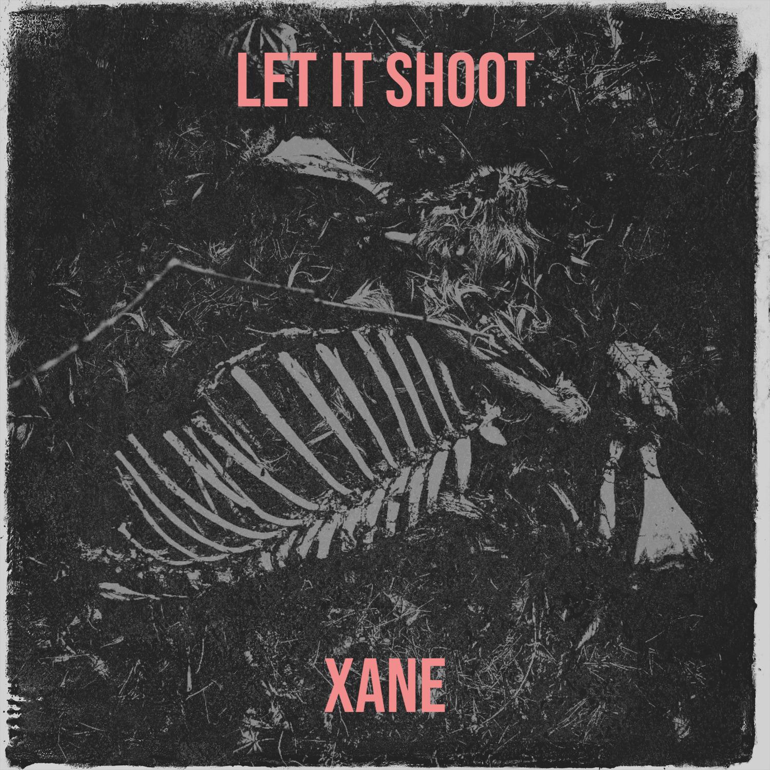 Let It Shoot